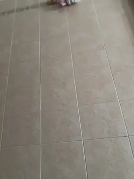 joy1334 online show from February 2026 11:03:01 AM