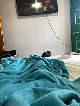 Cofla21cmm online show from January 2026 02:33:01 PM