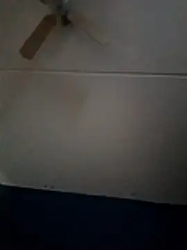 dewimp1 online show from February 2026 10:14:02 AM