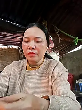 Nuna 689 online show from February 2026 09:24:02 AM