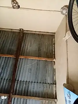 Blueberry23cupcake online show from February 2026 04:43:02 AM