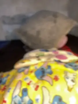 Iam AlexandraRey online show from February 2026 12:07:01 AM