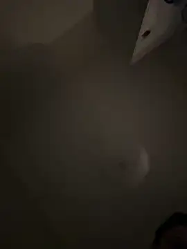 Sara0202 online show from March 2026 04:59:01 PM