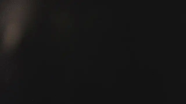 Fancy Vixen online show from February 2026 03:50:01 AM