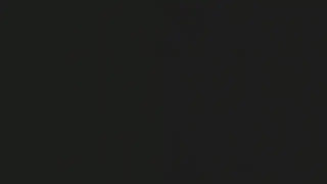 noaa smith  online show from February 2026 10:55:01 AM