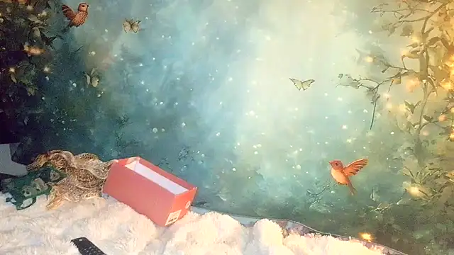 Blondie the librarian online show from April 2026 12:23:01 AM