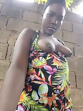 Bald gee online show from March 2026 06:52:01 AM