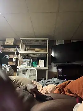 ProveYourLoyalty2 online show from March 2026 08:40:01 AM