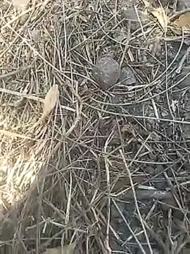 Cute Boy 4 online show from April 2026 07:28:02 AM