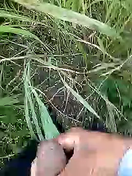 Cute Boy 4 online show from April 2026 02:38:01 AM