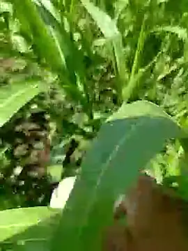 Cute Boy 4 online show from April 2026 05:19:01 AM