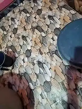 tamilpaiyan989 online show from April 2026 02:53:01 AM