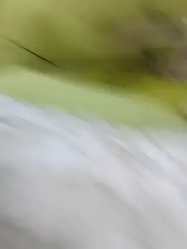 ONixCris online show from February 2026 05:24:01 PM