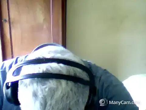 swichcassanesi online show from April 2026 12:33:01 PM