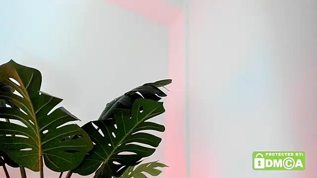 lovesweetash online show from March 2026 12:53:02 PM