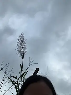 Caramel sexy online show from February 2026 07:34:01 AM