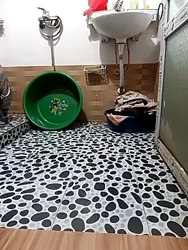 Tulip ii online show from March 2026 01:57:01 AM