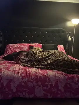 tipheragain online show from April 2026 05:49:02 AM