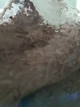 Ben10xblack online show from February 2026 02:53:01 AM