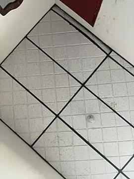 CarolineFyre online show from April 2026 11:45:02 AM