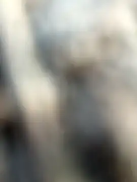 kalai 32 online show from February 2026 01:59:02 AM