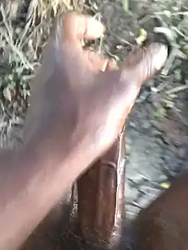 kalai 32 online show from February 2026 02:51:01 AM