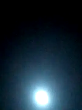 S7LEALTADPERVLIMA7 online show from April 2026 03:26:01 PM