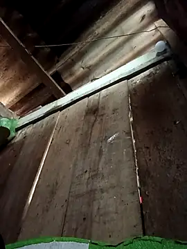 Small flower1 online show from February 2026 02:04:02 AM