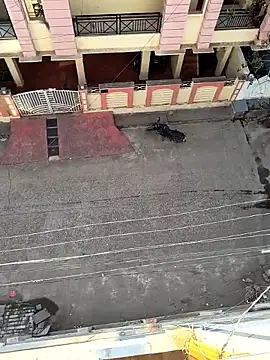 Castrol1289 online show from February 2026 03:00:02 AM