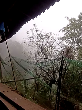 Anna 516 online show from March 2026 12:51:01 AM