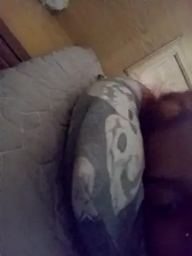 loveofpetitegirls34 online show from February 2026 08:26:01 AM