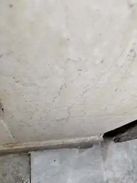 basyo2 online show from April 2026 05:21:02 AM