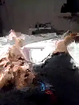 Snapshot of Al-Hari chatting on February 2026 04:13:01 PM Al-Hari online show from February 2026 04:13:01 PM