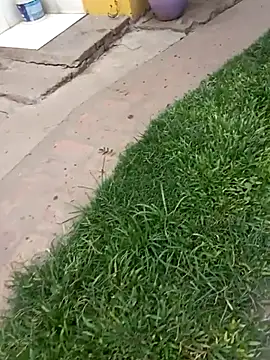 gordorichard online show from February 2026 04:46:02 PM