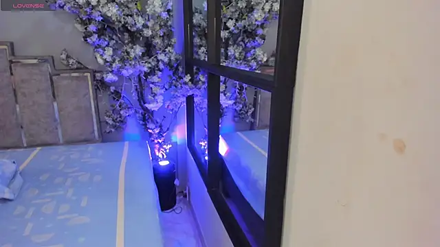 Nalapalmer online show from February 2026 07:39:01 PM