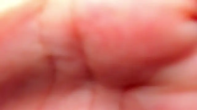 RinaFox   online show from February 2026 01:17:01 AM