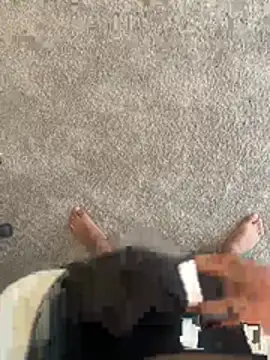 jose vnzla online show from March 2026 07:21:02 PM