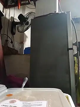 Wildcam21 online show from February 2026 09:51:02 AM