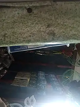 Wildcam21 online show from March 2026 05:44:02 AM