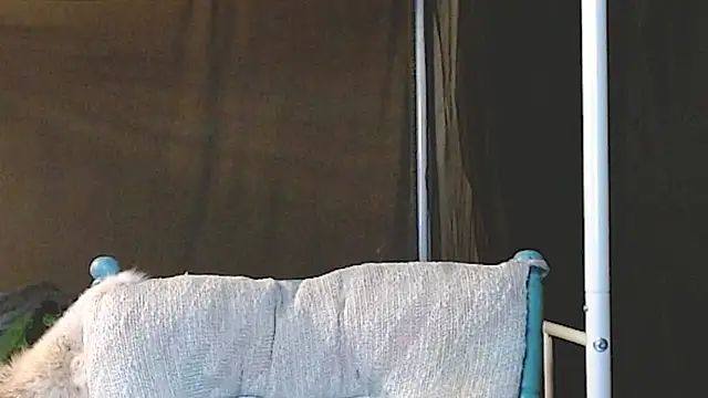 cguffey2284 online show from March 2026 10:03:02 PM