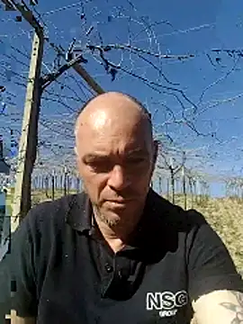 circott online show from February 2026 12:15:01 PM