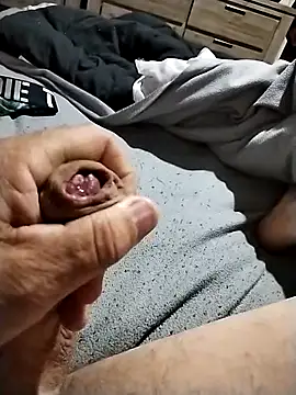 bigboydongi online show from March 2026 06:22:02 PM