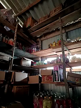 lisn-cute online show from April 2026 01:05:01 AM