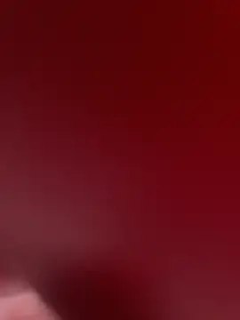 stallone italiano 62 online show from February 2026 11:14:02 AM