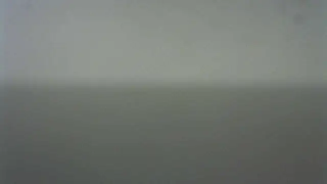 Thommas8a online show from February 2026 04:02:01 AM