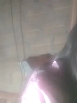 Yang-my- online show from February 2026 03:08:01 PM