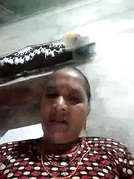 Loomaraj online show from June 2026 05:16:02 PM