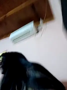 Soy lubri69sexy online show from February 2026 04:57:01 AM