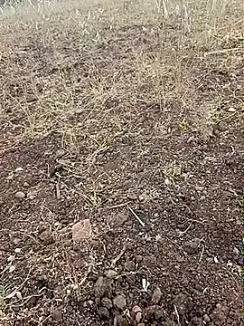 Snapshot of yusu_3 chatting on February 2026 11:40:01 AM yusu 3 online show from February 2026 11:40:01 AM