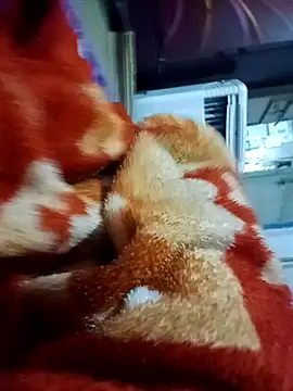 Snapshot of yusu_3 chatting on March 2026 06:45:02 PM yusu 3 online show from March 2026 06:45:02 PM